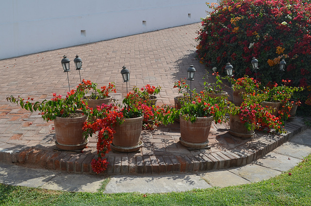 Lima, Larco Museum, Flower Pots in Lower Courtyard