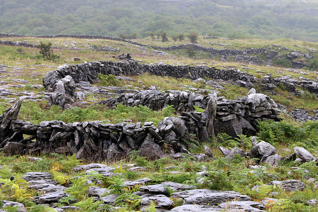 Fences in the Burren 2 (Explored)