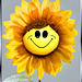 Smiling Sunflower... ©UdoSm