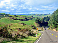 Road to Rotorua.
