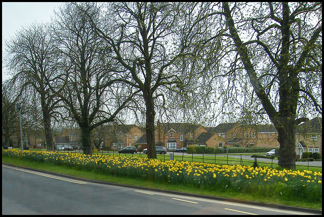 springtime in Huntingdon