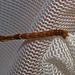 Caterpillar IMG_0894