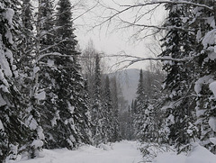 Winter in Sibiria
