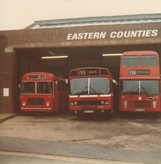 Eastern Counties LN593 Norwich Bus Photo 