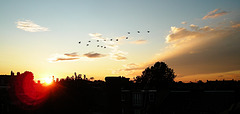 Sunset over Hammersmith
