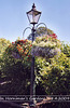 Lamppost with flower baskets Horniman Gdns 8 4 2009