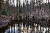 Teich im Wald am Schlebuscher Berg (Wetter) / 25.02.2023