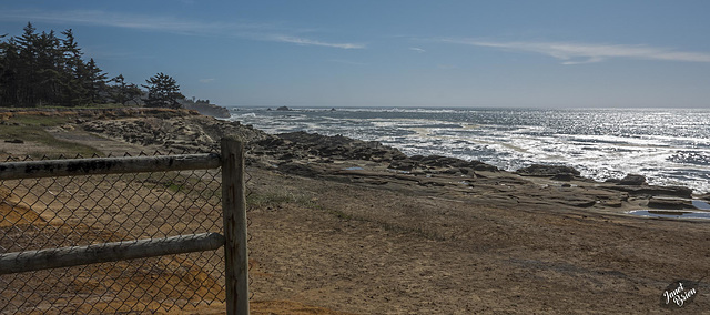 Pictures for Pam, Day 202: HFF: Rugged Coos Bay Coastline