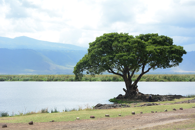 Ngorongoro, Ngoitokitok Lake