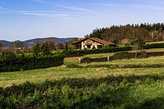 Casa típica del agro vasco