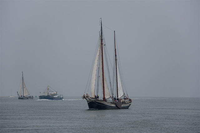 20140910 5115VRAw [NL]  Segelschiff, Terschelling