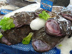 Braga Market- Monkfish