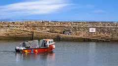 St Andrews Harbour