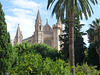 ES - Palma de Mallorca - Blick zur Kathedrale