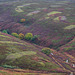 Moorland colours in the rain