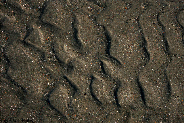 Wave Outwash Sculpts the Sand