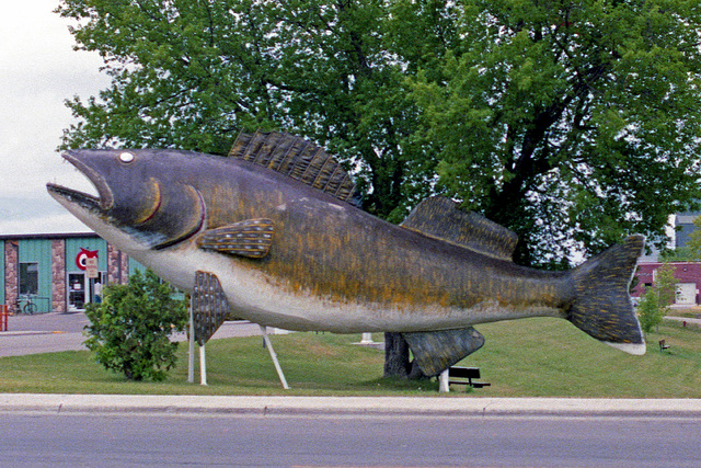 Willie The Walleye - Welcome To Minnesota