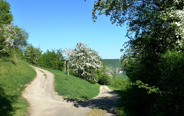 Spaziergang bei Lohrsdorf