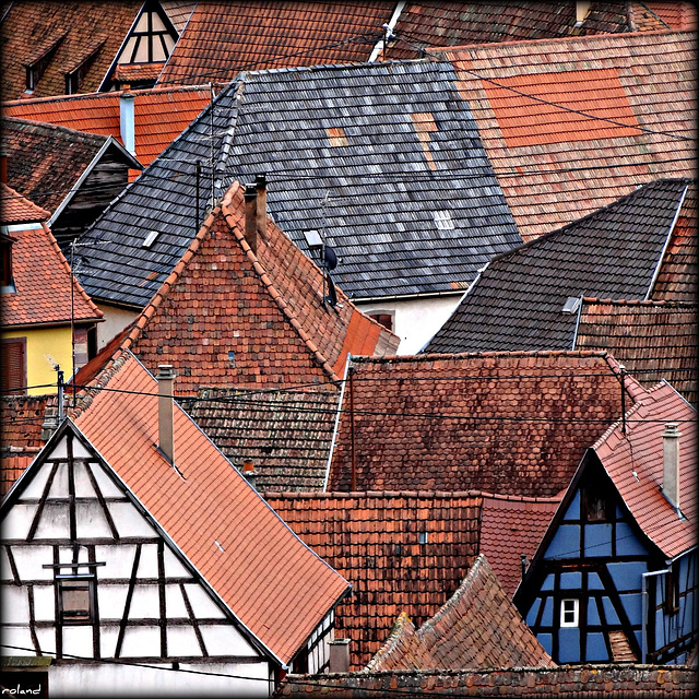 Dambach-la-Ville, toitures d'Alsace