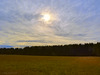 Filtered sun over field and forest