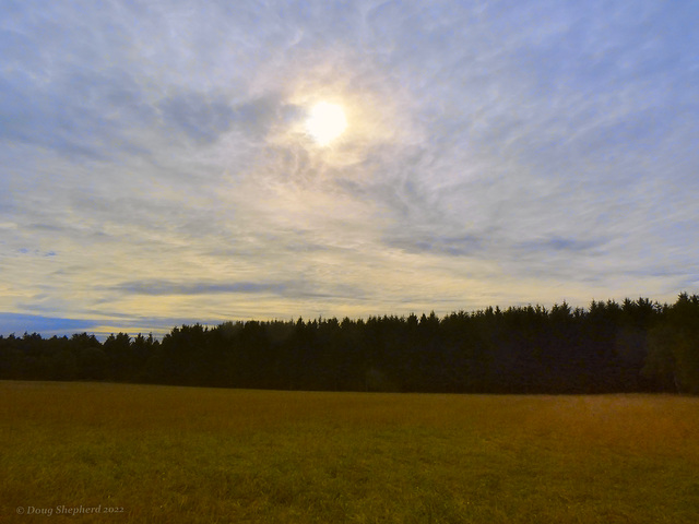 Filtered sun over field and forest