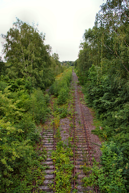 Stillgelegte Anschlussbahn des einstigen Kraftwerks Gustav Knepper (Dortmund-Mengede) / 11.07.2020