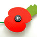 Red and Green - Poppy