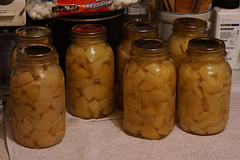 More Canned Potatoes