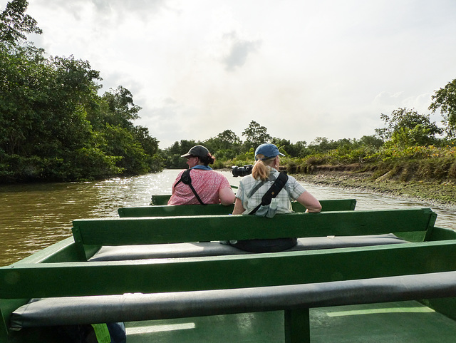 02 Boat ride through the Caroni Swamp