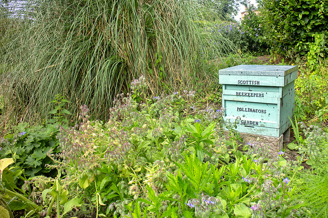 Scottish Beekeepers' Pollinators' Garden