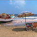 Port Said : la spiaggia ricca di conchiglie