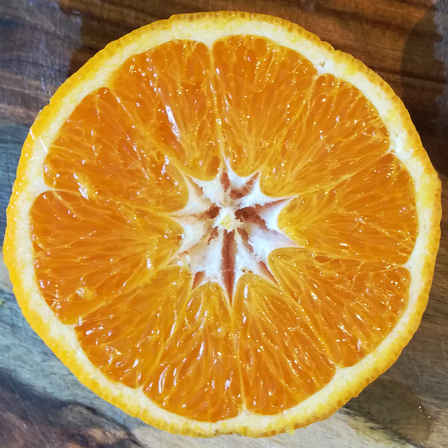 May I Orange?