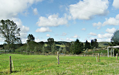 Rural view