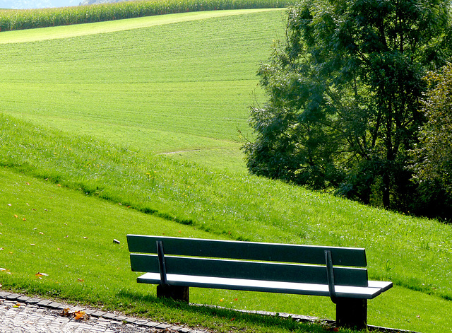 Benches - SPC 11/2016 4° place - Bern -Gurten -The bench in the green