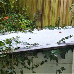 Snow on the coal bunker 10/12/22