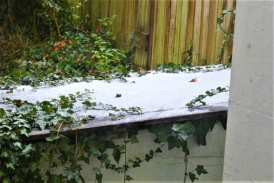 Snow on the coal bunker 10/12/22
