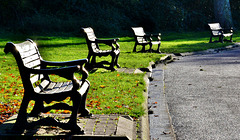 Sunny benches