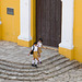 Schoolgirls, Remedios, Cuba