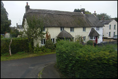 Church Lane thatch