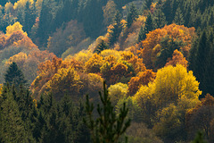 Blankenheim Ahrdorf - Herbst