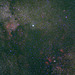Milkyway in Cygnus