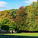 Early Autumn trees Manor Park