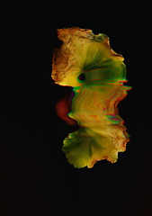 leaf-island-abstract