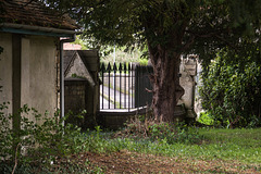Cemetery Railings, The Down