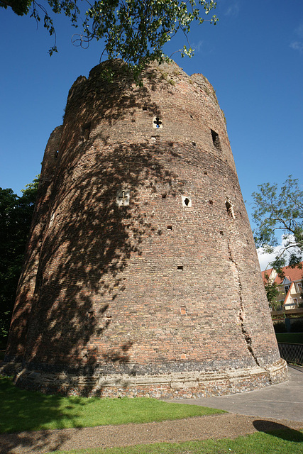 Cow Tower