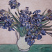 Detail of Irises by Van Gogh in the Metropolitan Museum of Art, July 2018