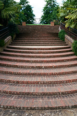 Wisley steps