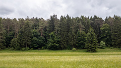 Blankenheim - Lampertstal im späten Frühjahr