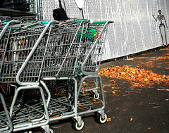 Carts with visitor