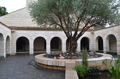 Galilee, Courtyard of the Bread and Fish Church